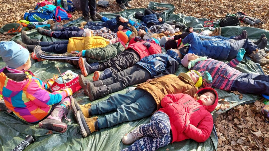 Pójdźmy w las – szukamy wiosny