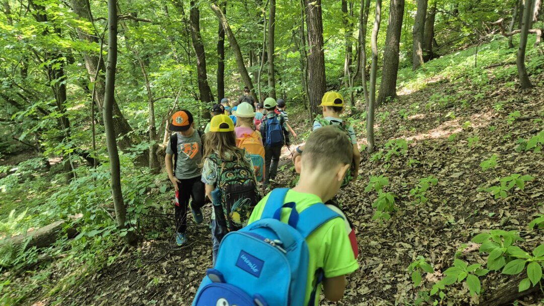 Pójdźmy w las – wycieczka 1 a